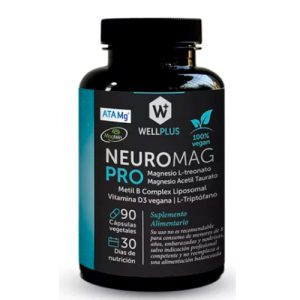 Neuromagpro