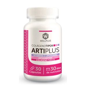 Artiplus