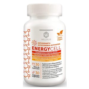Energycell