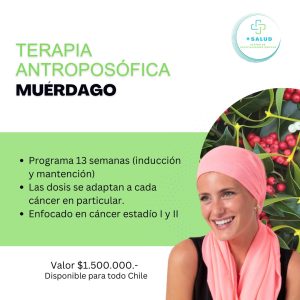 Plan estadío I y II